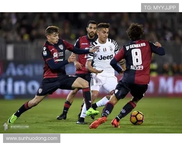 南京排球队创新盯防战术解析助力球队提升竞技水平